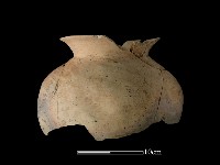 藏品(陶罐)的圖片