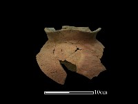 藏品(陶罐)的圖片