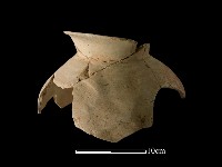 藏品(陶罐)的圖片