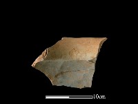 藏品(陶罐)的圖片