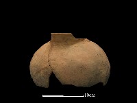 藏品(陶罐)的圖片