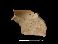 藏品(陶罐)的圖片