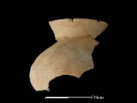 藏品(陶罐)的圖片