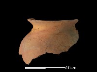 藏品(陶罐)的圖片