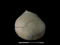 藏品(陶罐)的圖片