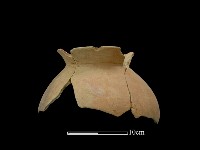 藏品(陶罐)的圖片