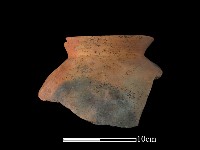 藏品(陶罐)的圖片