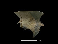 藏品(陶罐)的圖片