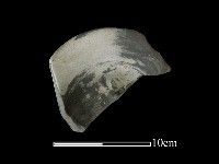 藏品(陶蓋)的圖片