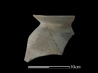 藏品(陶罐)的圖片