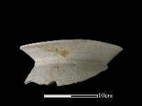 藏品(陶罐)的圖片