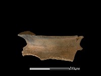 藏品(陶罐)的圖片