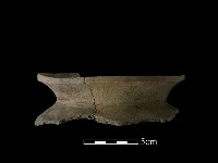 藏品(陶罐)的圖片