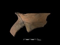 藏品(陶罐)的圖片