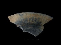 藏品(陶罐)的圖片