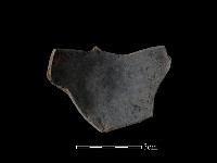 藏品(陶片)的圖片