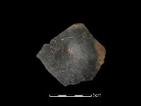 藏品(陶片)的圖片