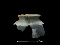 藏品(陶罐)的圖片