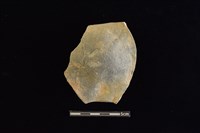 藏品(陶片)的圖片