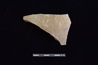 藏品(陶片)的圖片