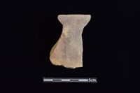 藏品(陶片)的圖片