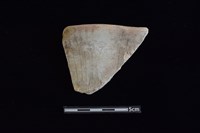 藏品(陶片)的圖片