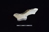 藏品(陶罐)的圖片