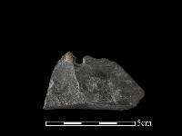 藏品(石刀)的圖片