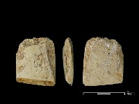 藏品(錛鑿形器)的圖片