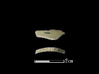 藏品(玉環)的圖片