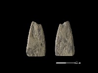 藏品(矛鏃形器)的圖片