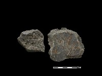 藏品(磨製斧鋤形器)的圖片