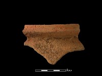 藏品(陶罐)的圖片