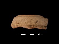 藏品(陶罐)的圖片