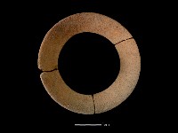 藏品(陶罐)的圖片