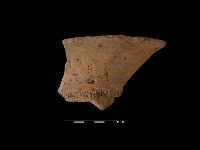 藏品(陶罐)的圖片