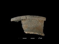 藏品(陶罐)的圖片