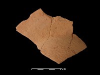 藏品(連杯形器)的圖片