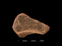 藏品(連杯形器)的圖片