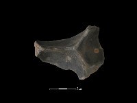 藏品(連杯形器)的圖片