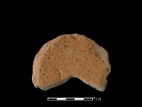 藏品(陶片)的圖片