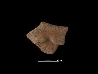 藏品(陶片)的圖片