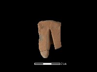 藏品(陶片)的圖片