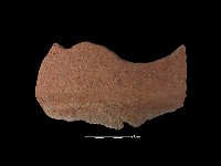 藏品(陶片)的圖片