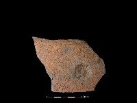 藏品(陶片)的圖片