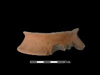 藏品(陶片)的圖片