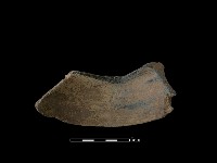 藏品(陶片)的圖片