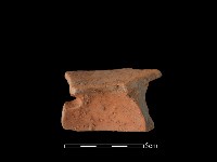 藏品(陶片)的圖片