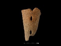 藏品(鼎足)的圖片