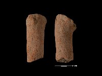 藏品(鼎足)的圖片